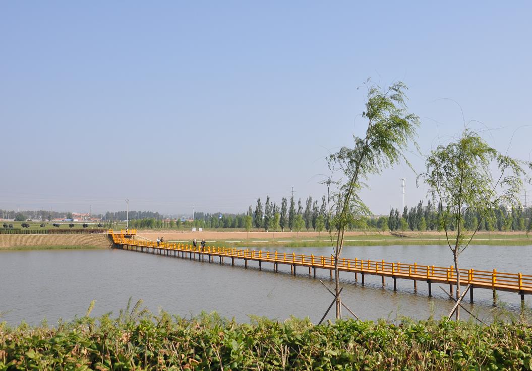 南洋河生態修復治理項目