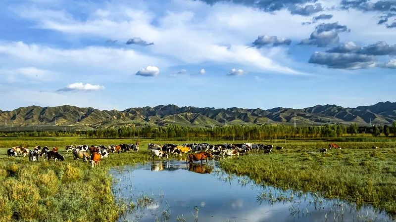 ɽʡPM2.5״~M30+ Fvʷͻơ2