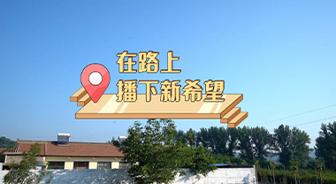 “四好農村路”：在路上 播下新希望