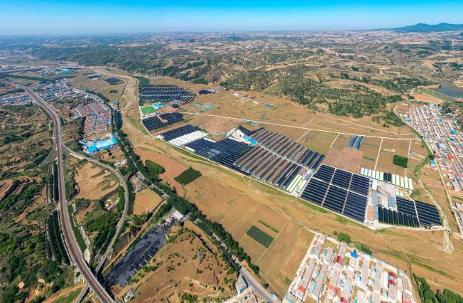 千畝棗木香菇產業興