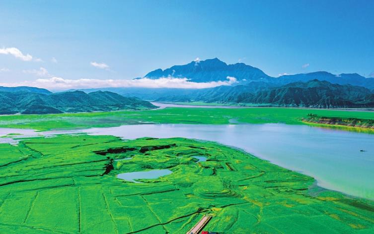 生態環境持續向好