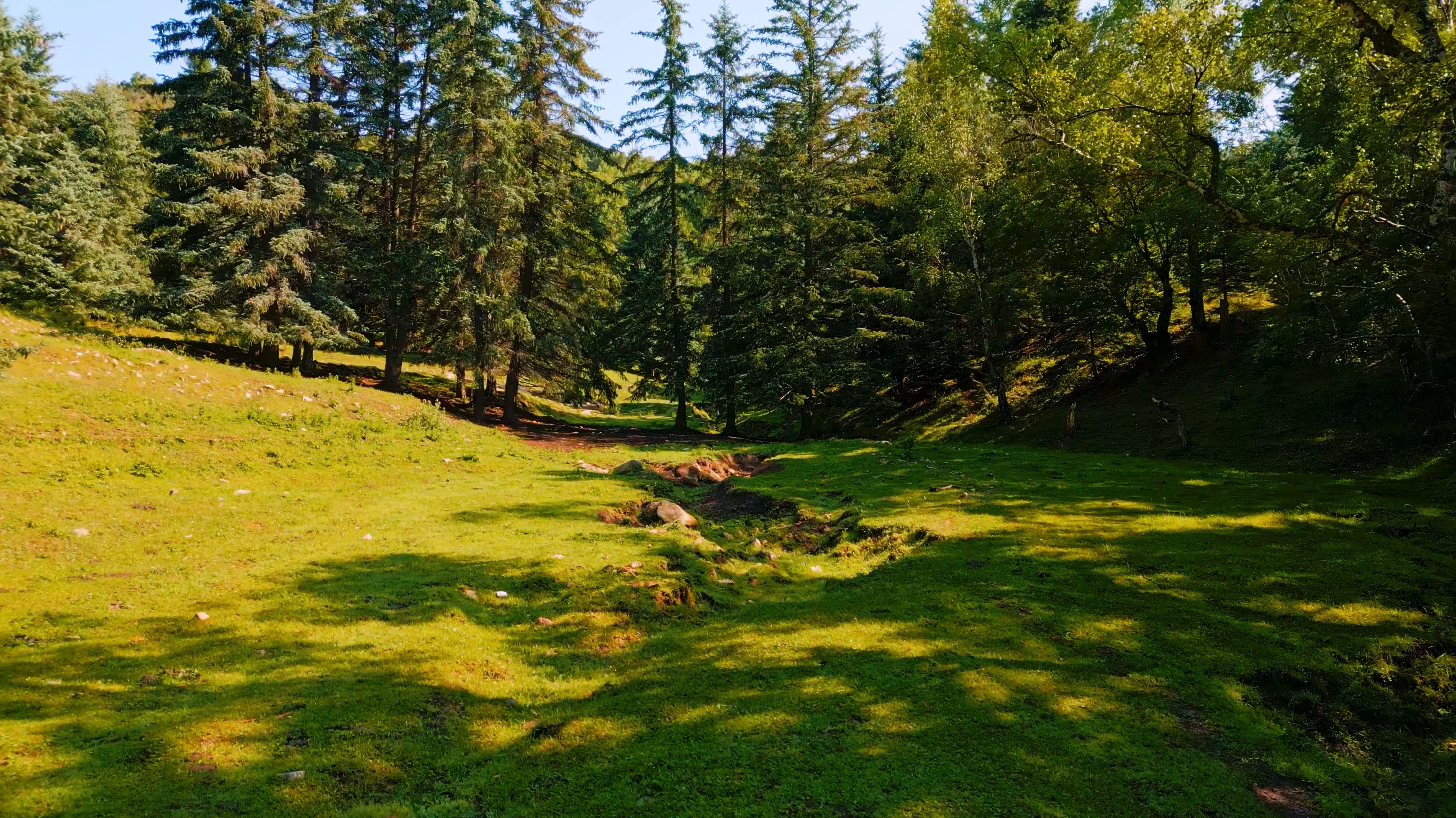 山西龐泉溝國家級自然保護區核心區西塔溝。張超寧攝