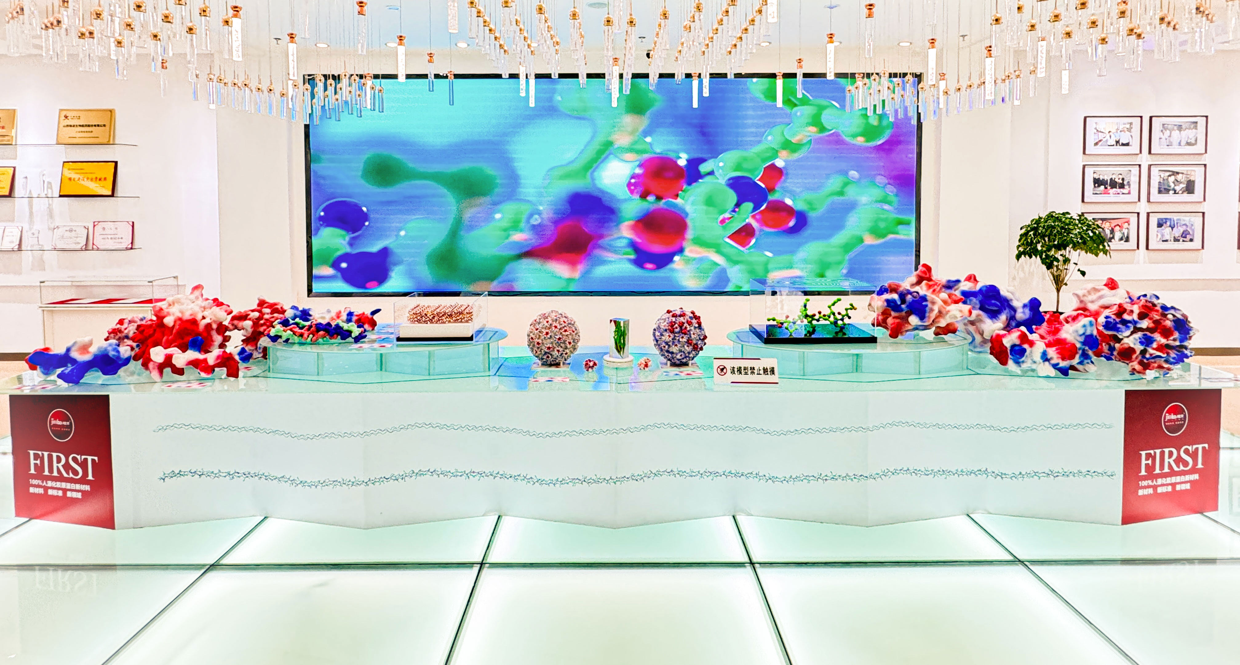 重組人源化膠原蛋白模型。