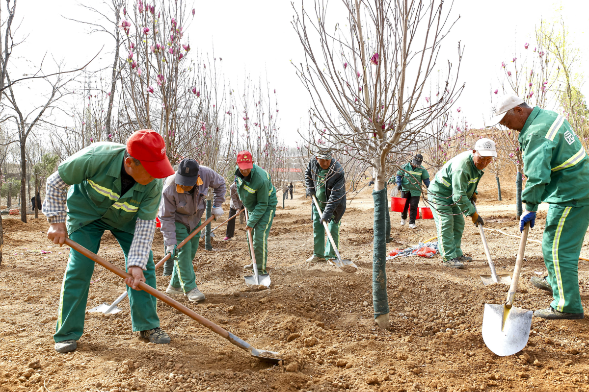 栽種綠色希望 建設美麗城區