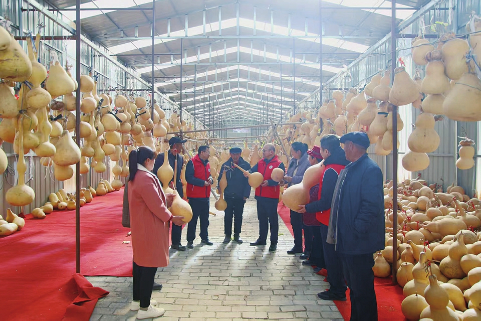 呂梁市委政法委駐興縣蔡家會鎮獅子洼村第一書記和工作隊隊員與村民劉俊連交流葫蘆雕刻藝術。