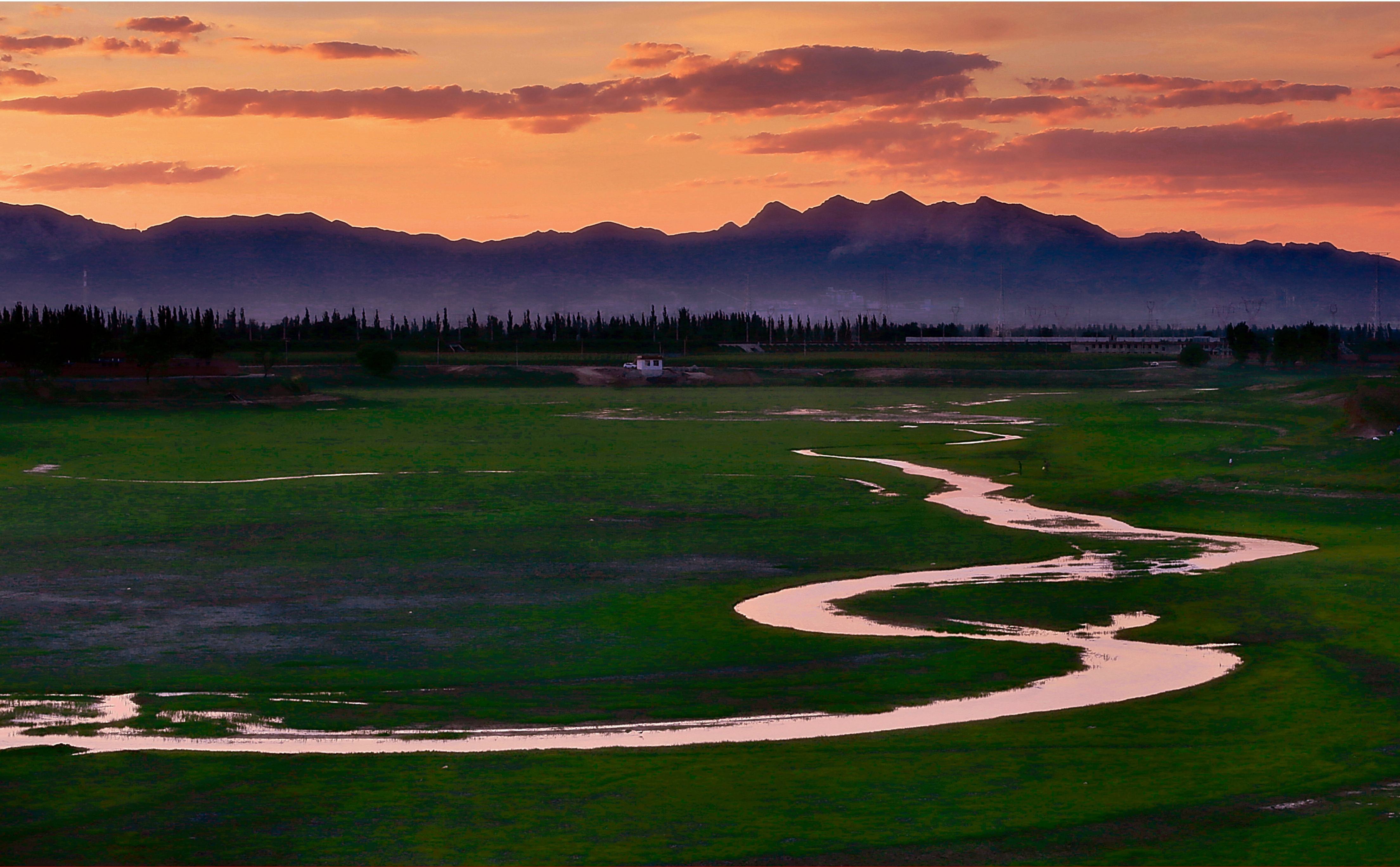 下米莊水庫濕地