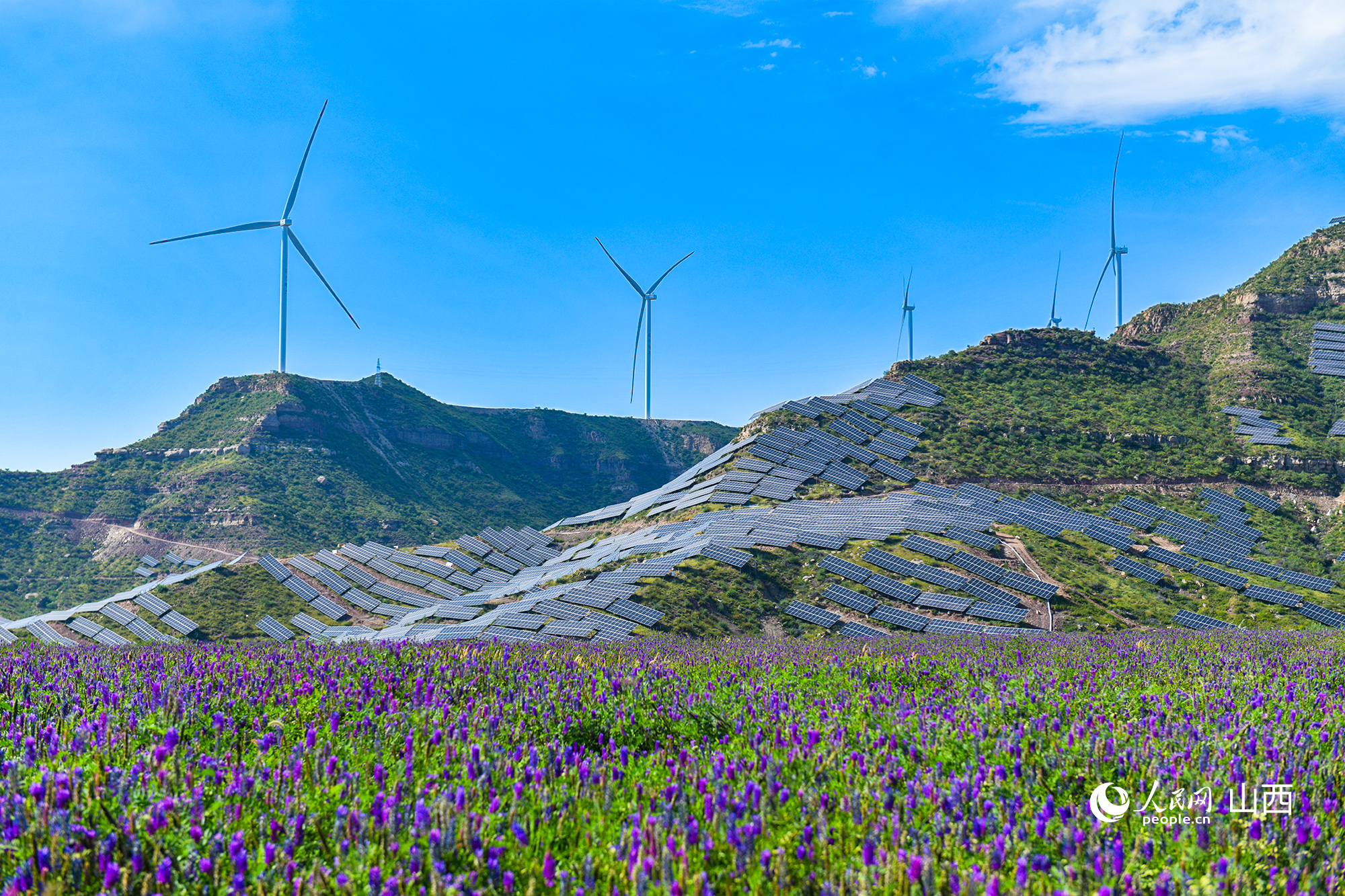 中電建懷仁100兆瓦光伏發電項目，光伏板沿著山坡排布。人民網記者 焦搏文攝