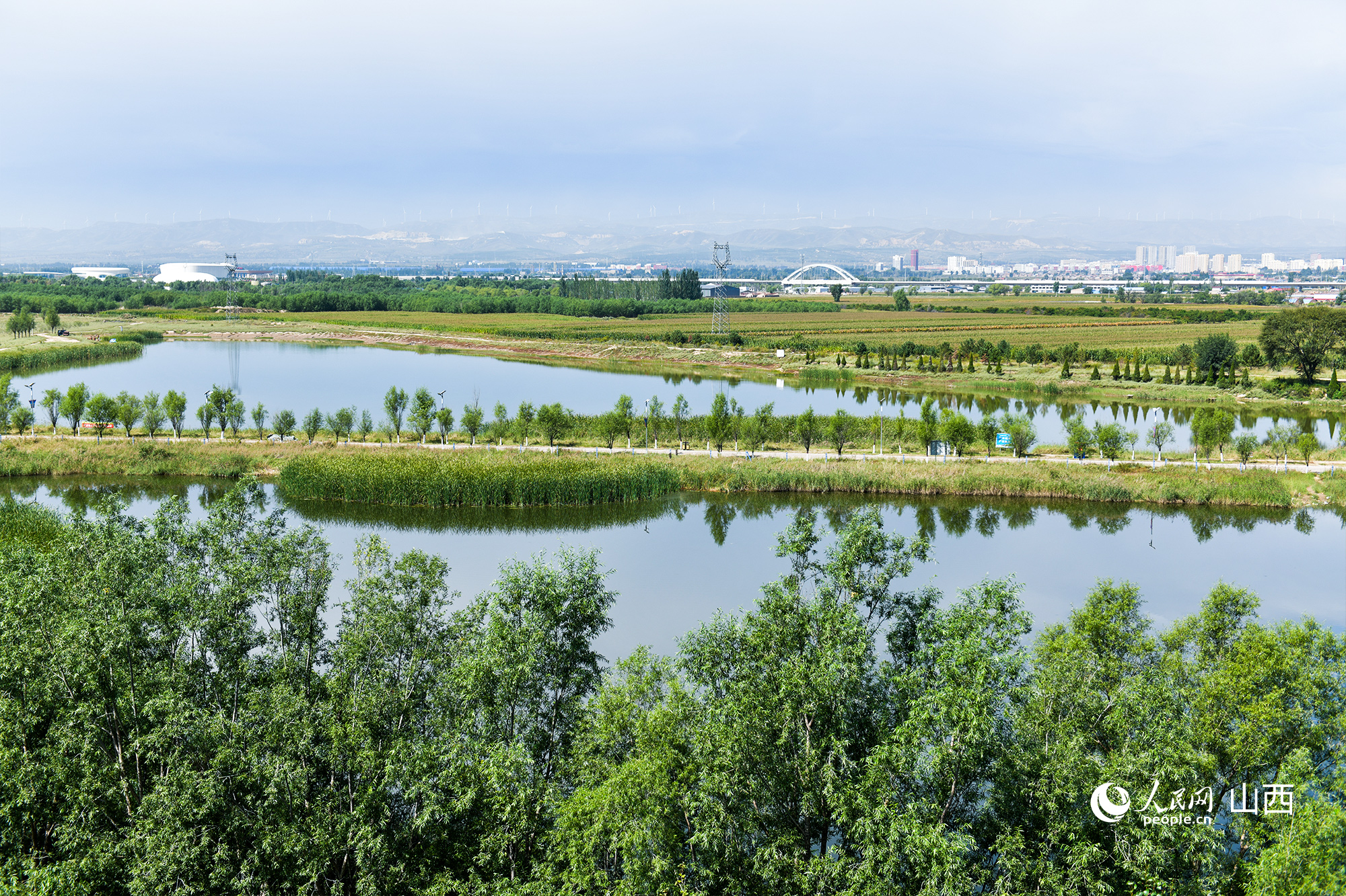 秋日的朔州市山陰縣桑干河國家濕地公園。人民網記者 焦搏文攝